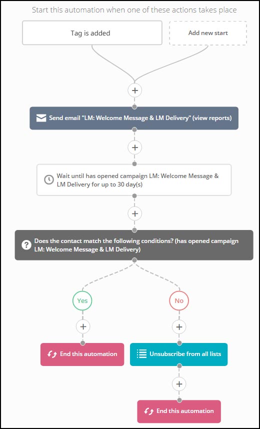 Your lead magnet delivery automation will look a bit like this...